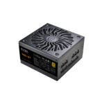 EVGA 750W GT 80+ GOLD FULLY MODULAR - Imagen 2
