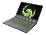 MSI Delta 15 A5EFK-097 - AMD Advantage Edition - AMD Ryzen 7 5800H / 3.2 GHz - Win 11 Home - Radeon RX 6700M