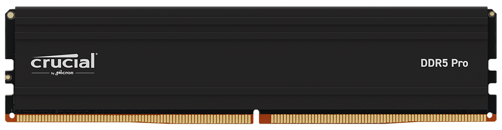 crucial-ddr5-pro-udimm-front CRUCIAL Pro 16GB DDR5-5600 UDIMM - Imagen 1